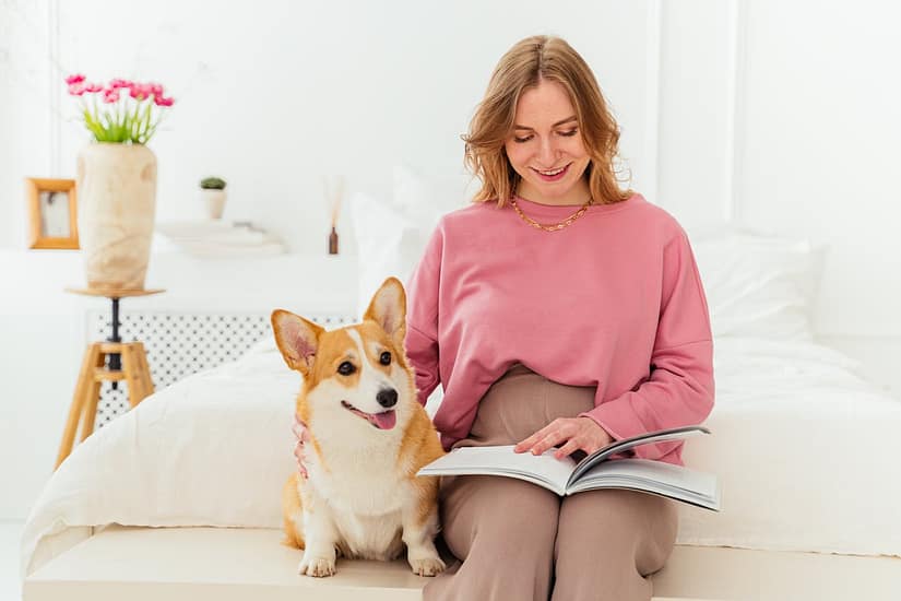 A woman in a pink sweater sits on a bed reading a book next to a smiling corgi dog.