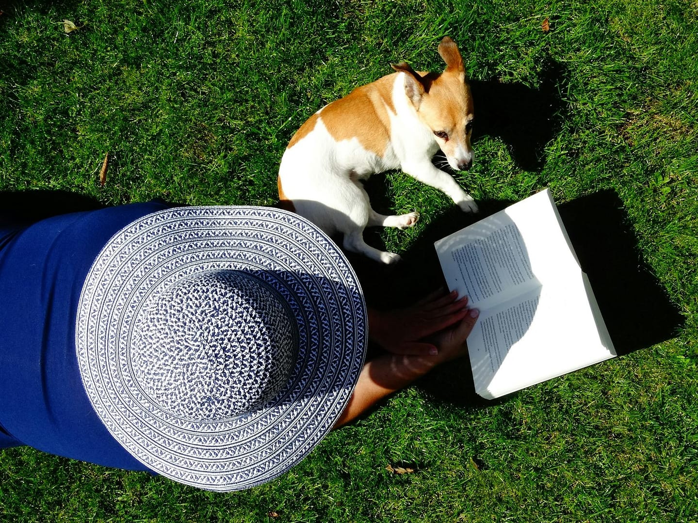 A woman reads a book with her dog on a sunny lawn, perfect for leisure.