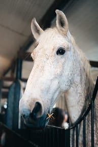 pexels-photo-32523781-32523781 pexels-photo-32523781-32523781.jpg