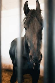 pexels-photo-32523782-32523782 pexels-photo-32523782-32523782.jpg