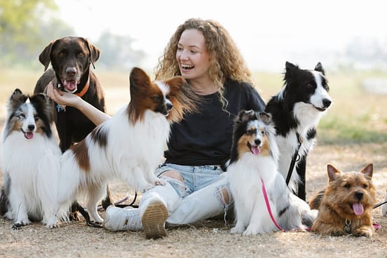pexels-photo-7210472 Delighted young female smiling and interacting with obedient dogs while sitting on ground on blurred background of countryside