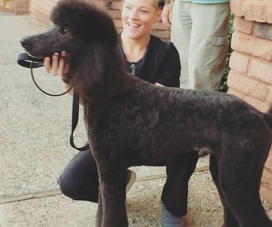 f3b163_3769298ce9474167901ffe2a89fe2109~mv2_d_1456_1456_s_2