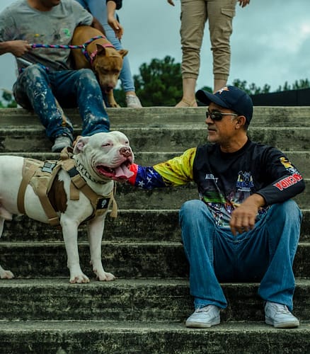 A man enjoys the company of his bulldog on outdoor steps in San Cristóbal, Venezuela.